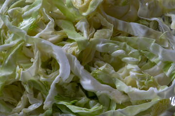 close up of lettuce leaves