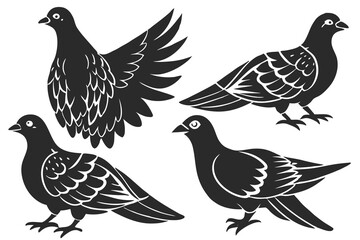set of Dove silhouette vector illustration