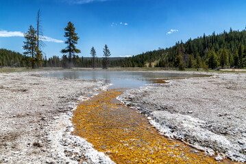 Scenery in Yellowstone National Park at the end of spring, early summer