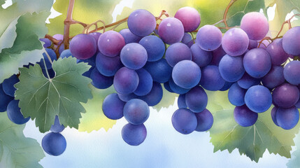 Vibrant watercolor painting of clusters of ripe purple grapes hanging from lush green leaves, evoking sense of freshness and abundance