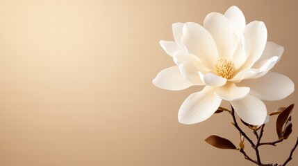 Elegant Magnolia Blossom on Soft Beige Background for Home Decor