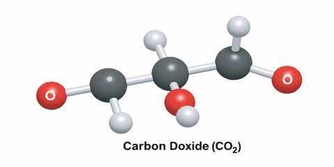 Carbon Dioxide (CO2) Molecule Vector. Ball and Stick Model