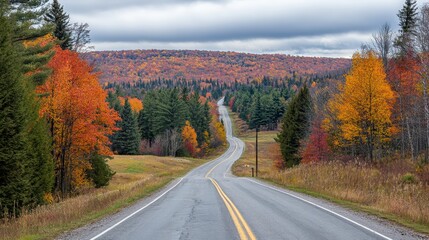 Serene Toll Road Surrounded by Vibrant Autumn Trees