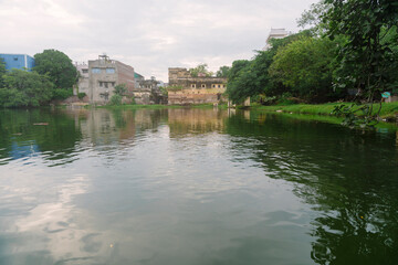 A peaceful pond in Varanasi, India, reflects old buildings and greenery, with cows grazing quietly near the water’s edge.
