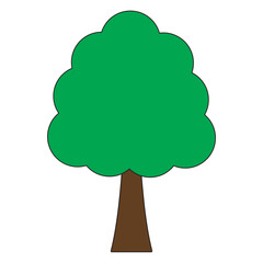 Nature_ Plant_DeciduousTree