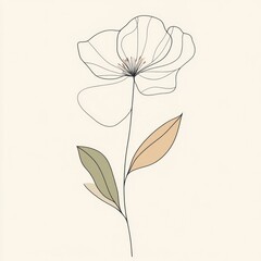 Minimalist line art flower illustration on cream background