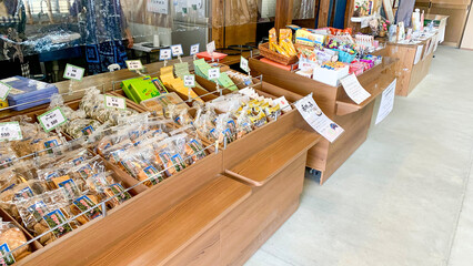 香椎宮の歴史ある境内