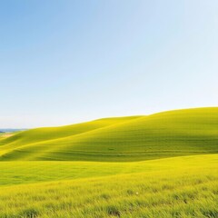Fototapeta premium Rolling hills of vibrant green grass under a clear sky, clouds, texture