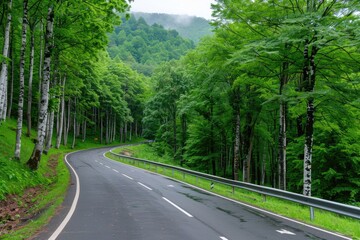 Fototapeta premium A winding road through lush green trees and a misty mountain