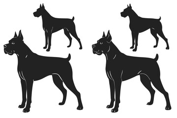 set of Boxer Dog silhouette vector illustration