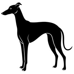 GreyHound dog silhouette vector illustration