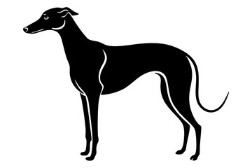 GreyHound silhouette vector illustration