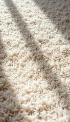 Deep pile plush carpet, subtly patterned with light and shadow, textile, surface