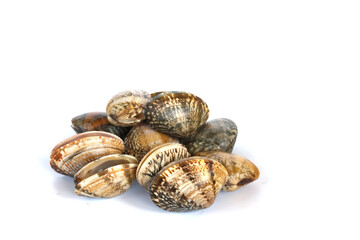 Clams on white background. Seafood.