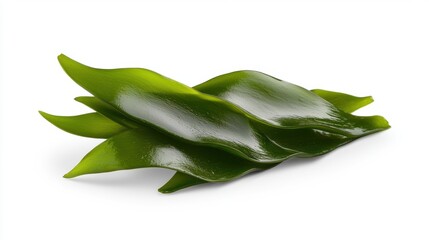 Fototapeta premium Food top popular healthy Fresh, vibrant green seaweed, showcasing its natural texture and rich color.