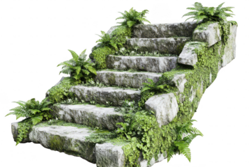Stone staircase overgrown with ferns and moss in an outdoor setting