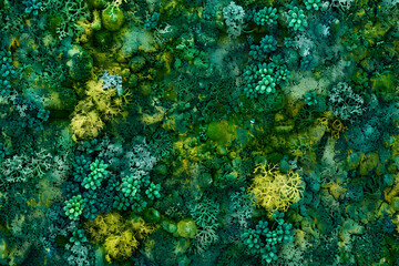 A vibrant underwater scene featuring various coral formations and marine life.