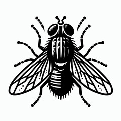 fly vector illustration