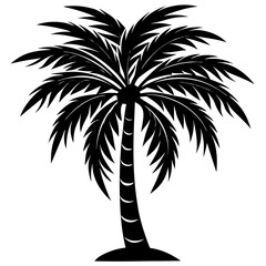 Obraz premium Palm Tree Silhouette