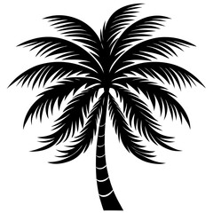 Palm Tree Silhouette