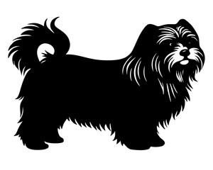 Maltese Dog silhouette vector illustration