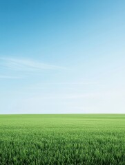 Obraz premium Verdant field meets clear blue sky in a serene landscape showcasing nature's harmony. Horizon view