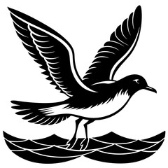 Seagull Silhouette
