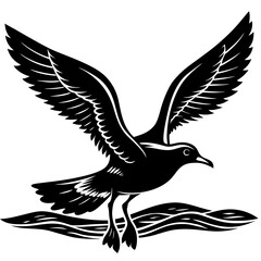 Seagull Silhouette