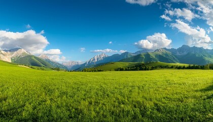 Fototapeta premium panoramic natural landscape with green grass field blue sky with clouds and mountains in background
