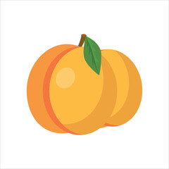 Vector illustration of peach fruit isolated on white background.