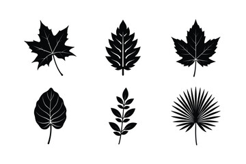 many kinds of leaves silhouette vector illustration