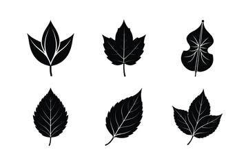 Fototapeta premium many kinds of leaves silhouette vector illustration