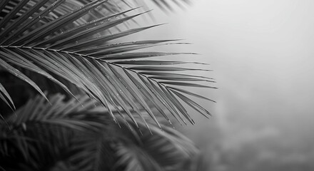 Obraz premium Tropical Greenery in Monochrome