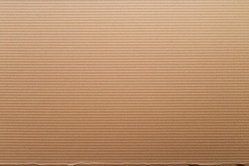 A textured, brown surface with horizontal lines, resembling cardboard or paper, providing a neutral backdrop.