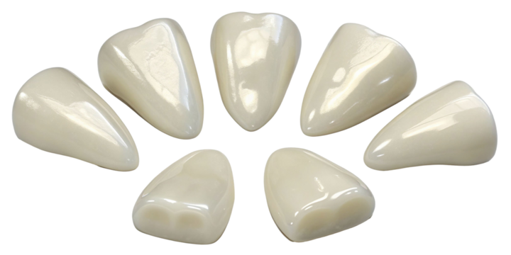 Unique pottery pieces shaped like teeth arranged in a circular pattern