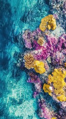 Vibrant coral reef formations meet the clear and inviting turquoise water