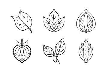 many kinds of leaves set line art vector illustrations