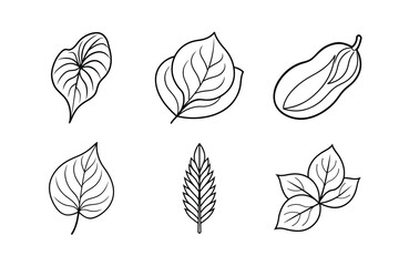 Fototapeta premium many kinds of leaves set line art vector illustrations