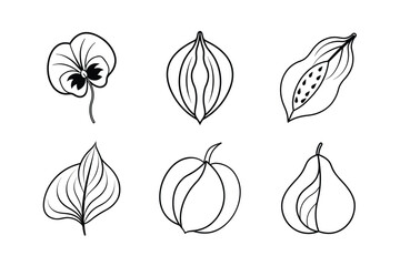 many kinds of leaves set line art vector illustrations