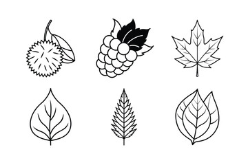 Obraz premium many kinds of leaves set line art vector illustrations