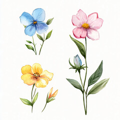 Set of three watercolor flowers on a white background