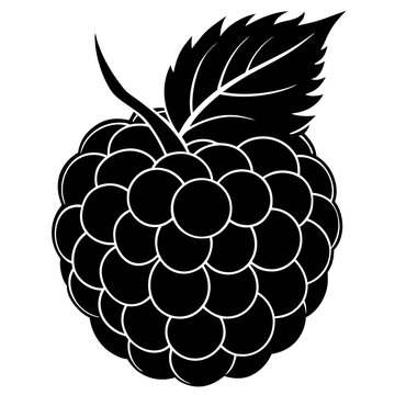 black blackberry fruit with leaf clip art preview