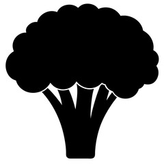 Broccoli silhouette  vector illustration 