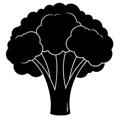 Broccoli silhouette  vector illustration 