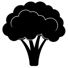 Broccoli silhouette  vector illustration 