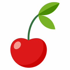 Cherry vector illustration