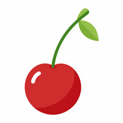 Cherry vector illustration