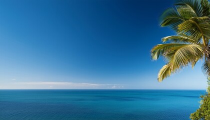 tropical palm tree overlooking calm blue ocean under clear sky