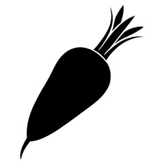 Daikon radish silhouette vector illustration 