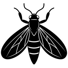 Firefly silhouette vector illustration 